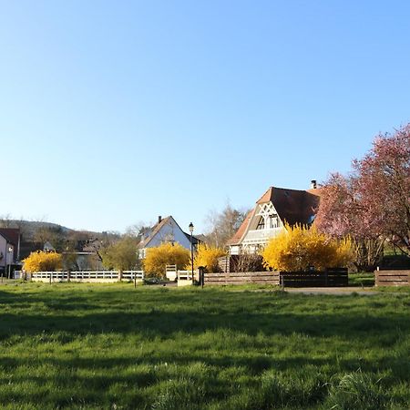 Romantik-Home Nordelsass - Ferienwohnung Fuer Selbstversorger Oberhoffen-les-Wissembourg Exteriér fotografie