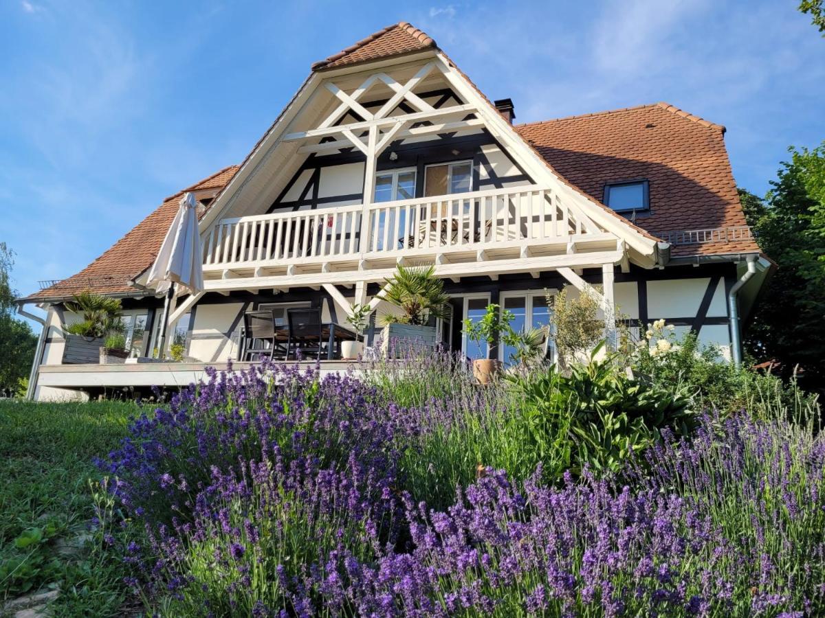 Romantik-Home Nordelsass - Ferienwohnung Fuer Selbstversorger Oberhoffen-les-Wissembourg Exteriér fotografie