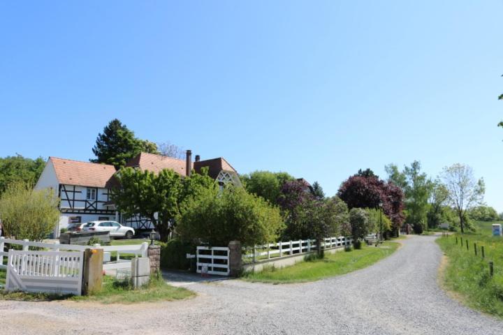 Romantik-Home Nordelsass - Ferienwohnung Fuer Selbstversorger Oberhoffen-les-Wissembourg Exteriér fotografie