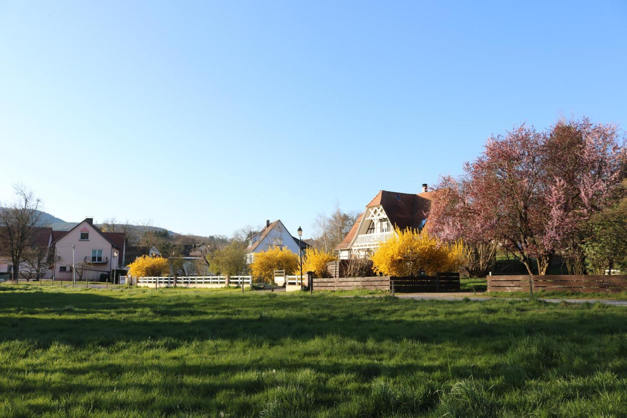 Romantik-Home Nordelsass - Ferienwohnung Fuer Selbstversorger Oberhoffen-les-Wissembourg Exteriér fotografie